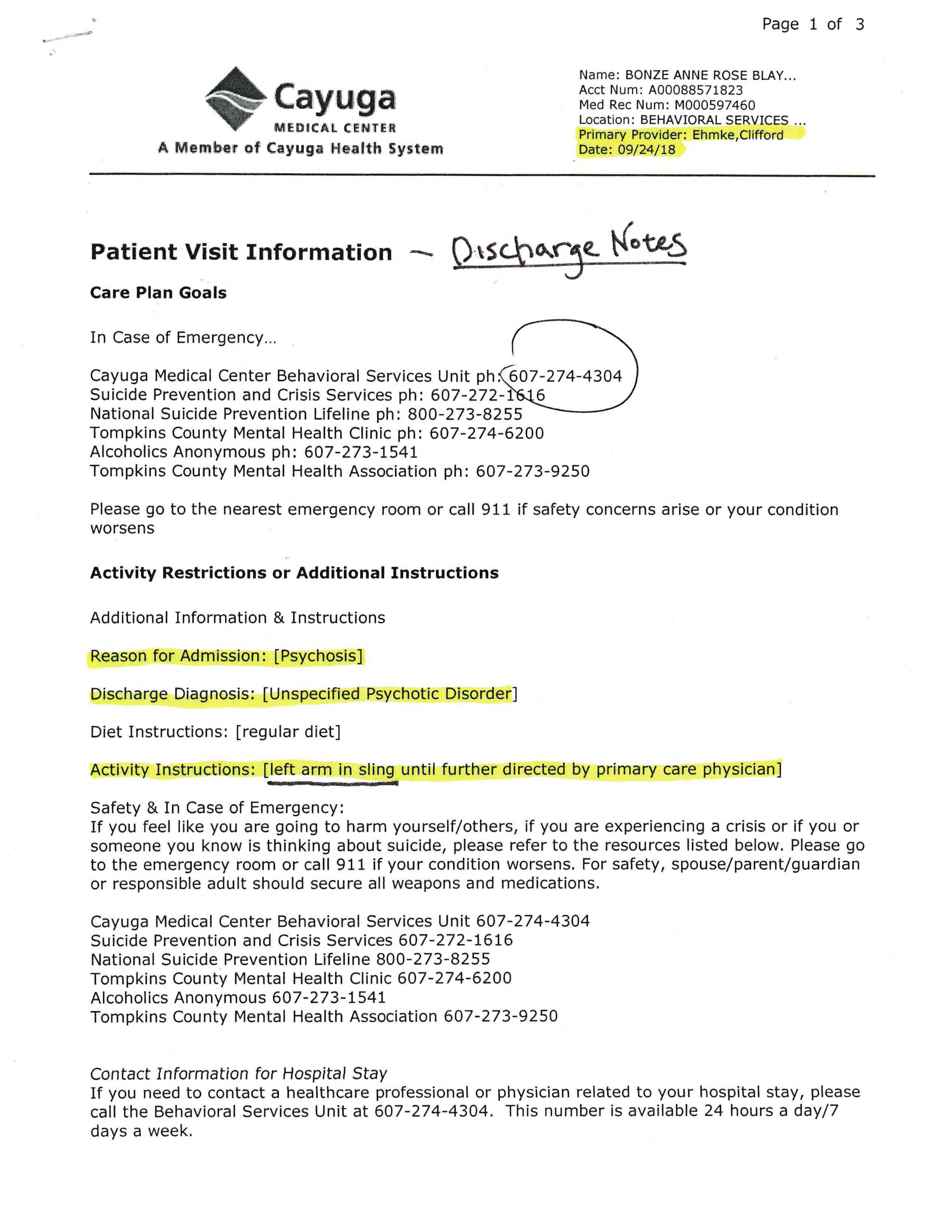 ./2018-11-29 - Bonze Blayk RAILROAD Tompkins CR-018365-18 - POLICE BRUTALITY, PSYCHIATRIC COVERUP, MEDICAID FRAUD IPD G.I. Herz John Joly CMC LTC Clifford Ehmke MD Molina Healthcare - p 18.png